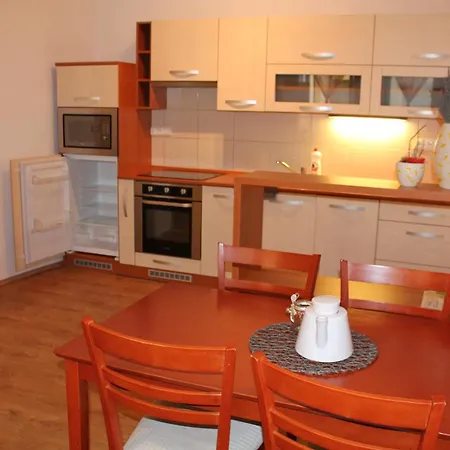 Svetlana Gazdova Appartement *
