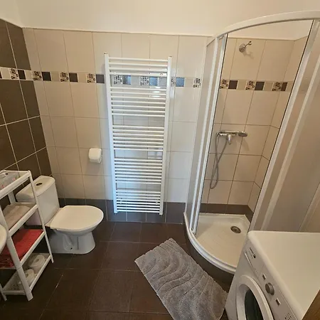 Svetlana Gazdova Appartement Goltsch Jenikau